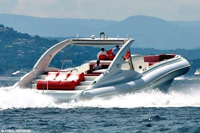 Luxury Opera 60 Whale & Dolphin Watching Experience - The 3-hour flow: whales and dolphins first, then snorkeling time