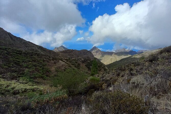 Masca from above - Walking in Teno Natural Park: Forest, Rain, and Pine