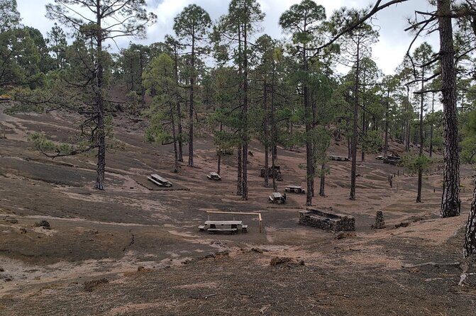 Monster Quad Teide Tour - Morning Sandwich, Afternoon BBQ, or a Sunset-Style Option
