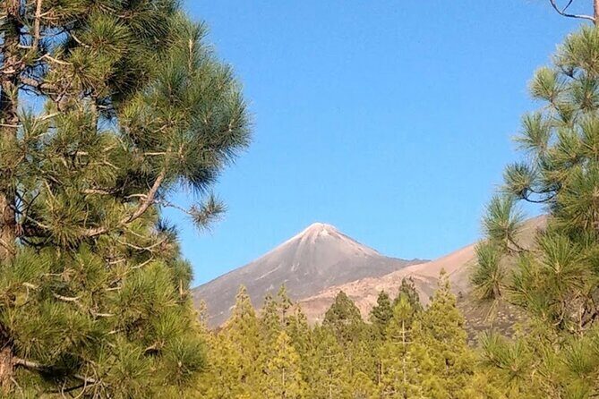 Monster Quad Teide Tour - Photo Stops and Guided Talking: How the Time Flows