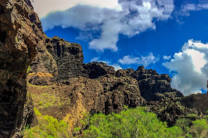 Mount Teide and Teno Country Park Private Tour - What you’re really buying: the guide + the electric van + the route