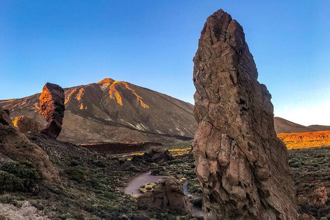Mount Teide and Teno Country Park Private Tour - Parque Natural Corona Forestal: pine air at around 1,000 meters