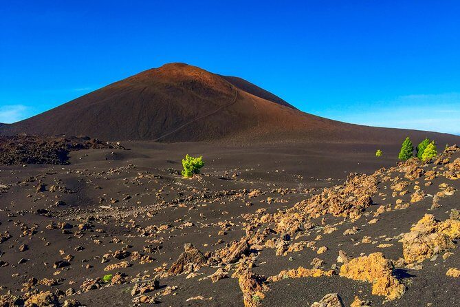 Mount Teide and Teno Country Park Private Tour - Price and value: why $919.17 per group can make sense