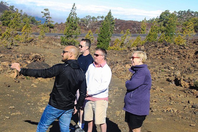 Mount Teide and Teno Country Park Private Tour - Who this tour fits best (and who should look elsewhere)