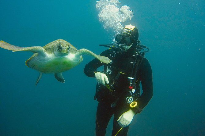 OPEN WATER CERTIFICATION - Become an autonomous diver up to 18m ! - L&J in Las Galletas: Small Groups, Real Safety Focus
