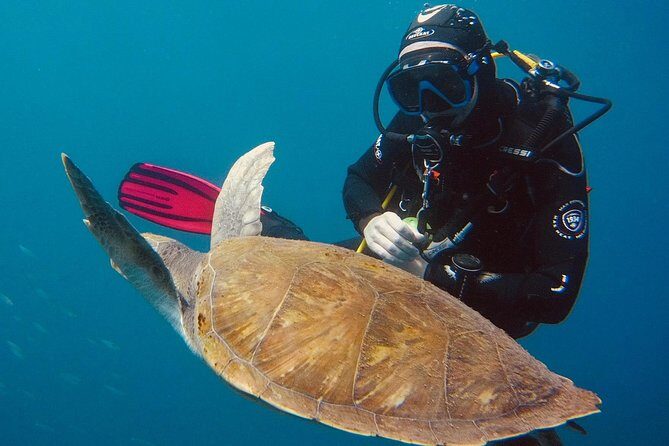 OPEN WATER CERTIFICATION - Become an autonomous diver up to 18m ! - Price and Value: Is $722.78 Worth It?