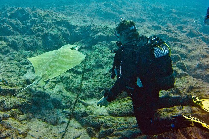 OPEN WATER CERTIFICATION - Become an autonomous diver up to 18m ! - Practical Training in Tenerife: What Your Days Feel Like