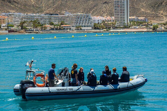 PADI Open Water course in Playa de las Americas - Days 2 and 3: four open-water sessions with boat and shore options