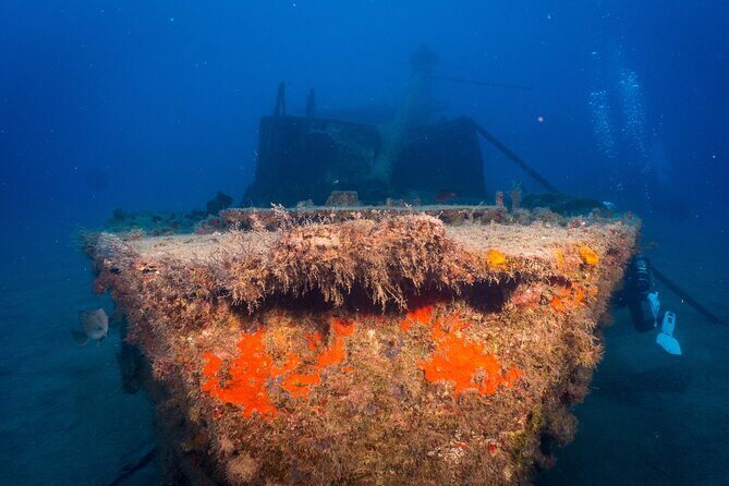 PADI Open Water course in Playa de las Americas - Equipment, certification fees, and why the price feels cleaner than it looks