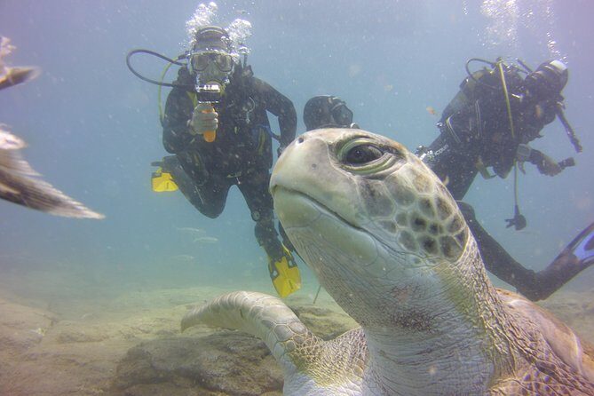 PADI Open Water Diver Course - What your water sessions look like: skills, buoyancy, and calm instruction
