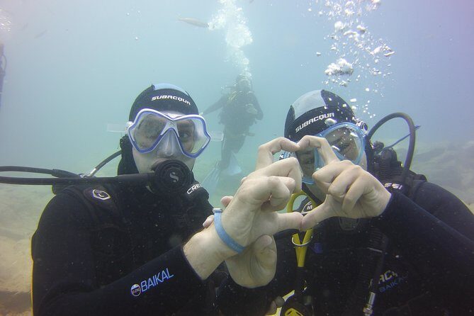 PADI Open Water Diver Course - Tenerife’s undersea sites: marine life in a volcanic setting