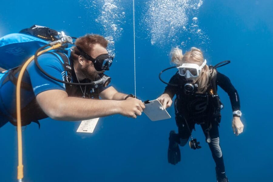 PADI Open Water Diving Course Tenerife - Open-water sessions in Tenerife: four boat outings with hands-on guidance
