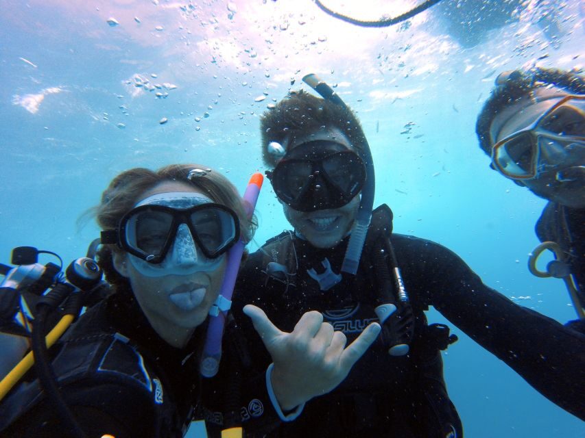 PADI Open Water Diving Course Tenerife - Gear, pickup, and daily logistics in Tenerife