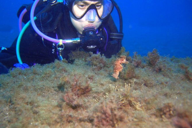PADI ReActivate, Refresh your scuba skills! - Where the day starts: Scubanana center in Puerto Deportivo