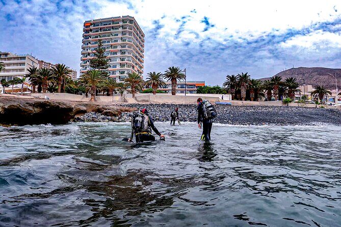PADI Scuba Diving Courses in Tenerife: All Specialities Until Divemaster - Why Tenerife Works for Training (Marine Life, and Real Motivation)