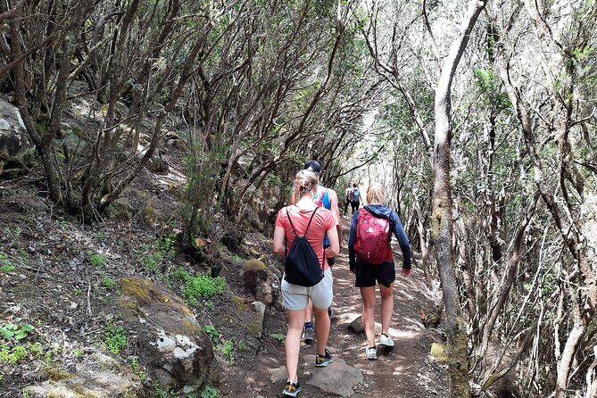 Panoramic route across the Teno rural Park in Tenerife - The big views: La Gomera and La Palma, cliffs, and valleys