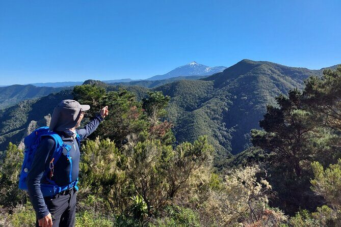 Panoramic route across the Teno rural Park in Tenerife - Optional bar stop: goat cheese, wine, and pastries (if you want the local taste)