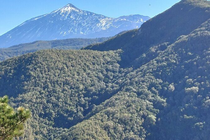 Panoramic route across the Teno rural Park in Tenerife - Guide factor: why Sergio’s approach helps you enjoy the whole day