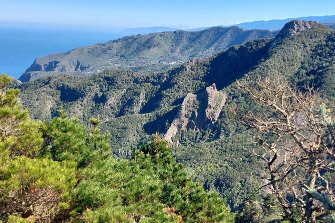 Panoramic route across the Teno rural Park in Tenerife - Price and value: is $113.84 per person fair for a 5-hour guided hike?