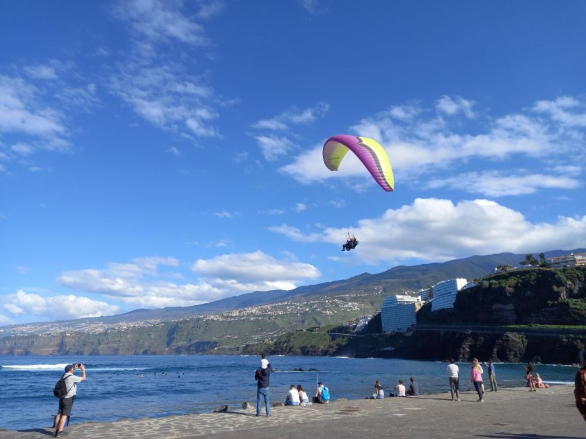 Paragliding in Puerto de la Cruz: start from 2200m high - Teide National Park Launch at 2200m: Why This Flight Feels Different