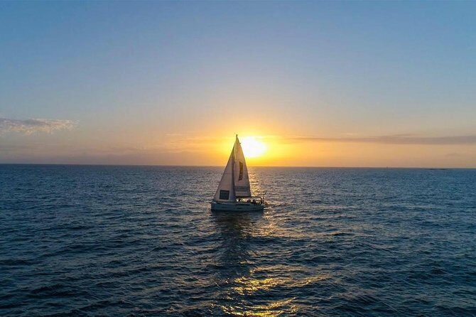 Premium All Inclusive Whale & Dolphin Watching Experience - Why Whale-Watching Off Tenerife Feels Easier Than You’d Think