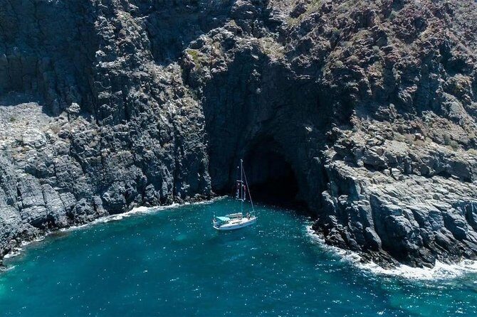 Premium All Inclusive Whale & Dolphin Watching Experience - The Snorkeling Swim Stop: Fun When the Sea Is Right