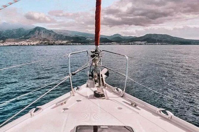 Premium All Inclusive Whale & Dolphin Watching Experience - When Comfort Matters: Wind, Waves, and Motion-Sickness Prep