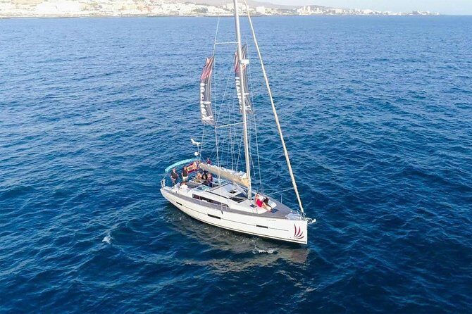 Premium All Inclusive Whale & Dolphin Watching Experience - The Small-Boat Setup: What “Up to 10” Changes