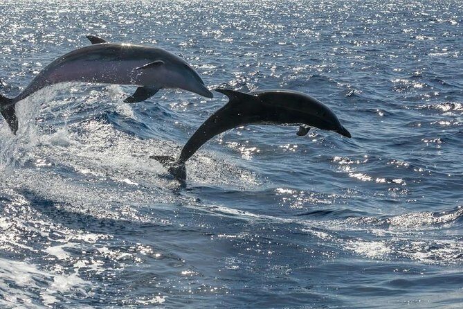 Premium Yacht Private Charter - Weather and Flexibility: The Only Real Catch
