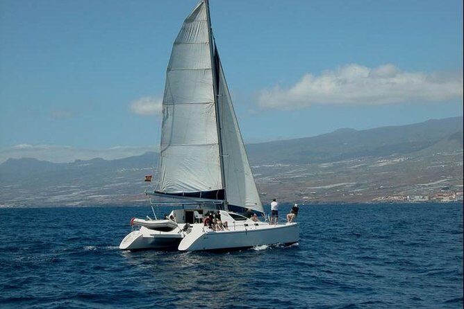 Prestigious cruiser private charter - Key Things You’ll Notice on This Private Tenerife Charter