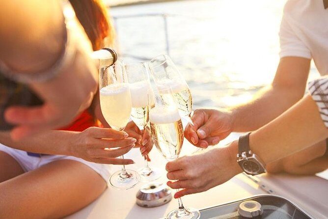 Prestigious cruiser private charter - Animal Watching: Why This Charter Feels Worth It