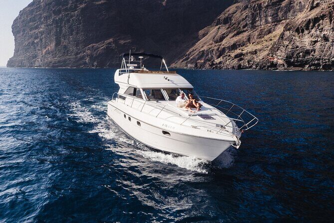Private Boat Tour on Royal Ocean Yacht, Tenerife - Stop 1: whale and dolphin watching from the Marina South area