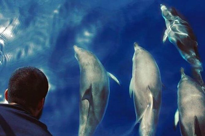 Private Charter in Tenerife south max 7 people - The 3-hour itinerary: Playa del Puertito as your main stop
