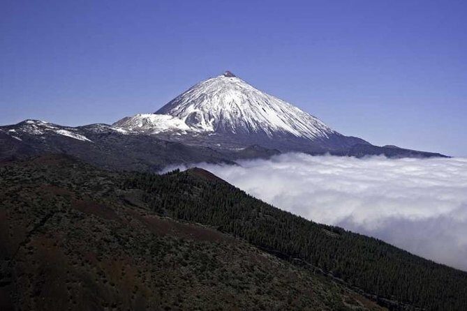 Private excursions for cruise-ship passengers - Roques de García, Mirador de Tarta, Zapato de la Reina