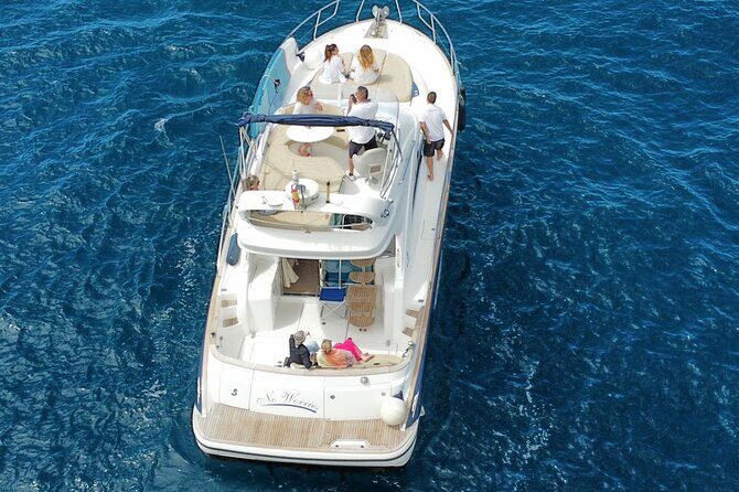 Private Luxury Motor Boat 2, 3 and 4 Hour Charters - Wildlife Chances Off Tenerife: What You Can Reasonably Hope For