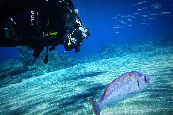 Private Scuba Diving in Tenerife – Certified Instructor & Photos - Free underwater photos and videos: why it’s not just a bonus