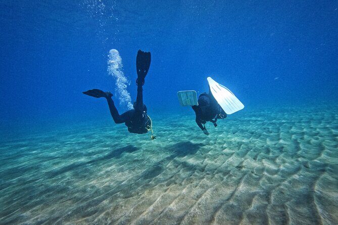 Private Scuba Diving in Tenerife – Certified Instructor & Photos - Price and value: what you’re really paying for