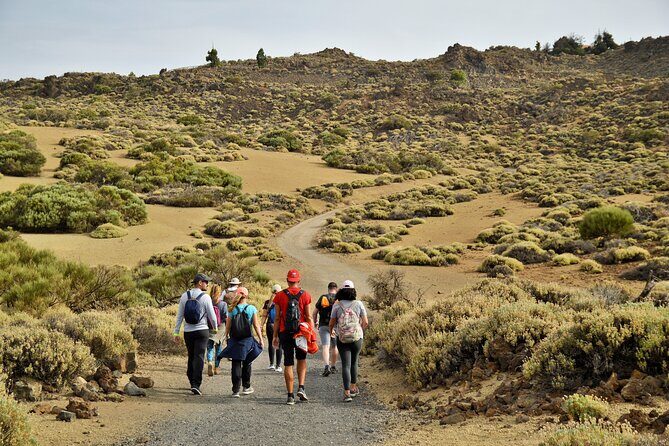 PRIVATE TOUR Teide National Park: Hiking and Stargazing - Pickup and timing: how the 7 hours stay smooth