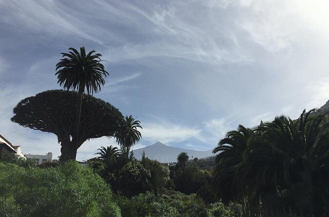 Private VIP Tour Tenerife Magic Circle - Comfort, timing, and how the pickup actually works