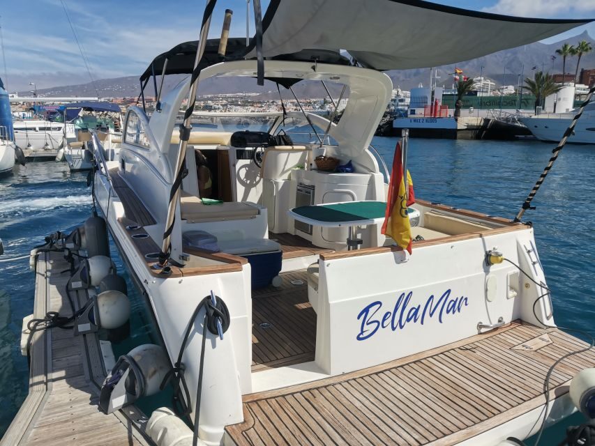 Puerto Colón: Coastal Boat Cruise with Swimming and Snacks - Why Tenerife’s south coast is a better boat day than a bus day