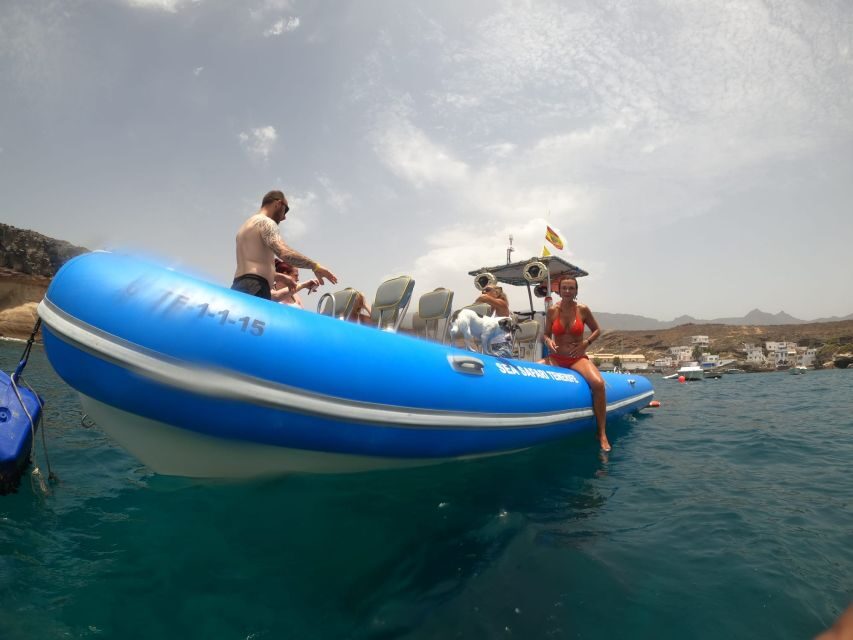 Puerto Colon: Dolphin and Whale Watching Speedboat Cruise - The Bay Swim Stop: Snorkel Gear, Drinks, and Cliffs