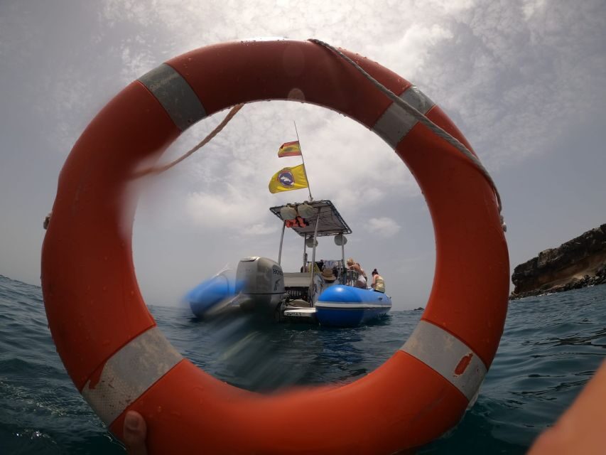 Puerto Colon: Dolphin and Whale Watching Speedboat Cruise - Views on the South Coast: Teide on Clear Days and Quiet Natural Spots