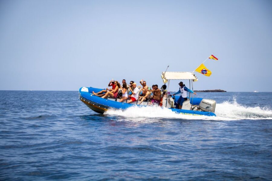 Puerto Colon: Dolphin and Whale Watching Speedboat Cruise - What’s Included, and Where the $77 Value Actually Shows Up