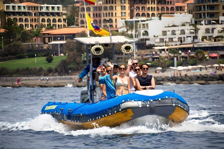 Puerto Colon: Dolphin and Whale Watching Speedboat Cruise - Whale and Dolphin Watching on a Small Vessel