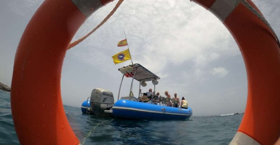 Puerto Colon: Dolphin and Whale Watching Speedboat Tour - Quick hits before you go