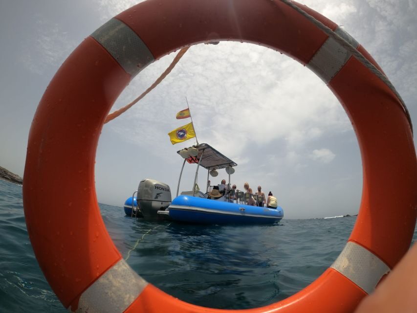 Puerto Colon: Dolphin and Whale Watching Speedboat Tour - Where You Start: Puerto Colón and the Costa Adeje Launch