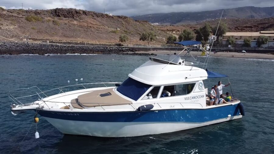Puerto Colon : Shared/private boat trip with snack & Drinks - Wildlife spotting off Costa Adeje: what you’re really signing up for