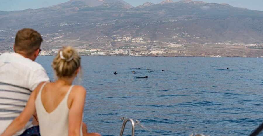 Puerto Colon: Whale and Dolphin Watching Yacht Trip - Key Things You’ll Remember
