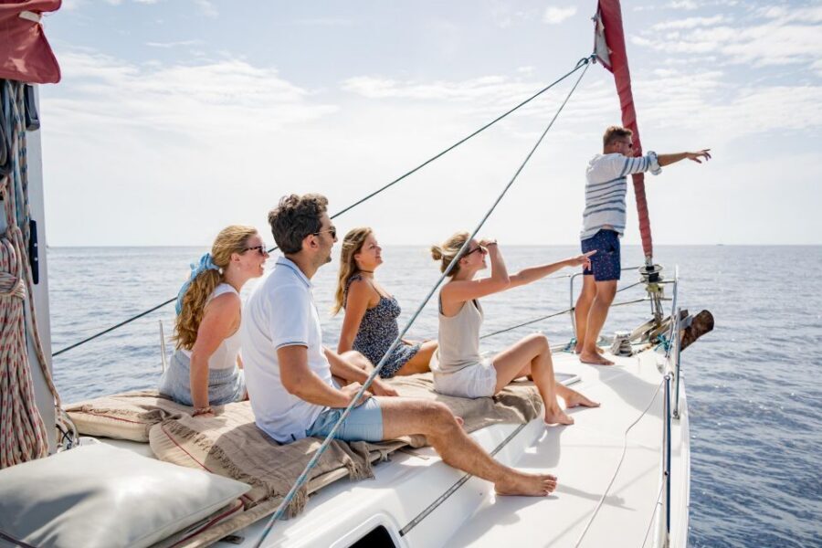 Puerto Colon: Whale and Dolphin Watching Yacht Trip - Pilot Whales, Dolphins, and Turtles: What Encounters Are Like