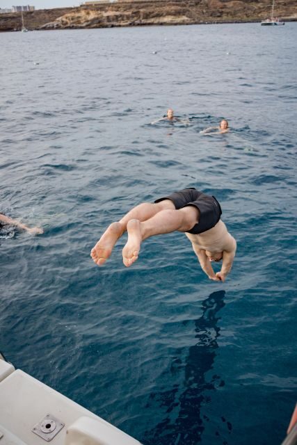 Puerto Colon: Whale and Dolphin Watching Yacht Trip - Snorkel Equipment Included: What to Bring and How to Prep